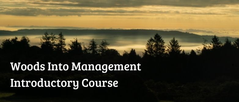Woods into Management Introductory Course CW002