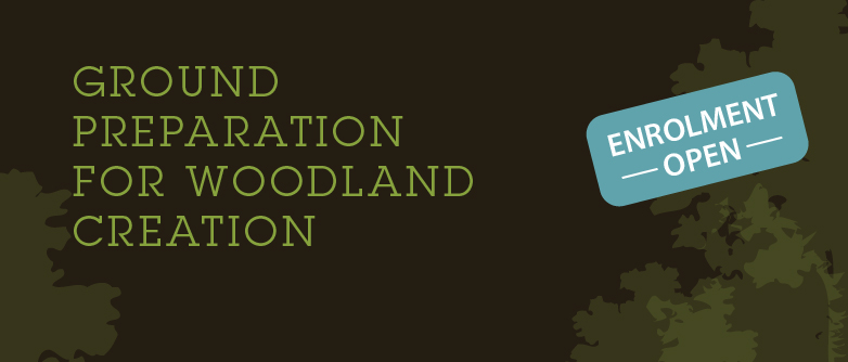 Ground Preparation for Woodland Creation - APRIL 2025 CW016